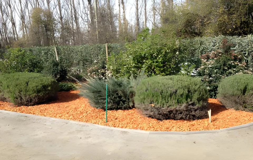 Cantero de mulch naranjo con arbustos en un parque