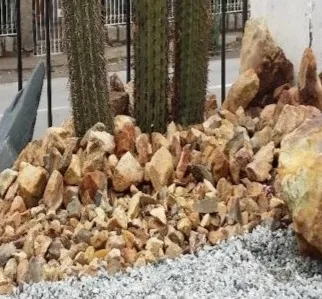 Gravilla Amarilla de Montaña, piedra decorativa para jardín