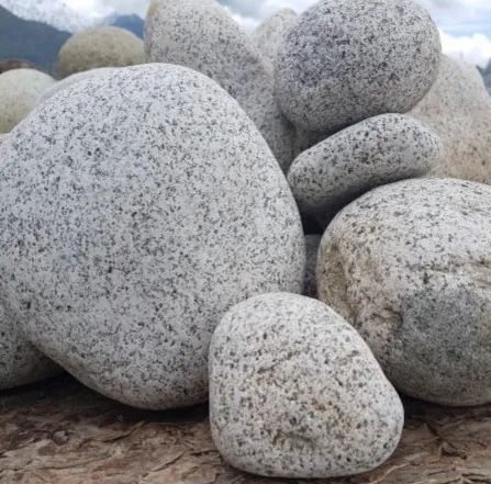 Piedra Blanca con Puntos Negros, piedra decorativa para jardín