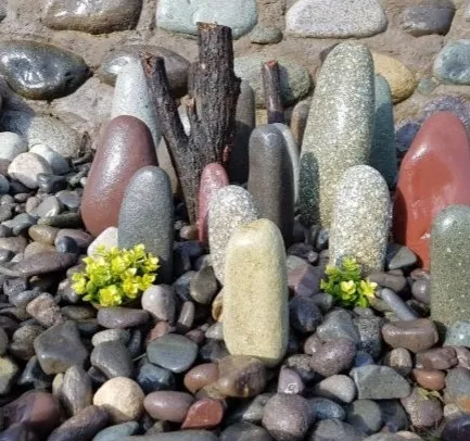 Piedras Alargadas de Río, piedra decorativa para jardín