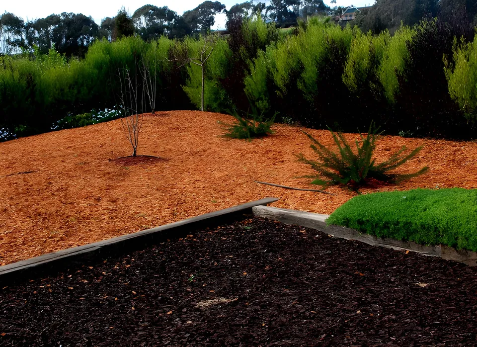 Canteros de mulch naranjo y mulch oscuro con cipreses y gramíneas