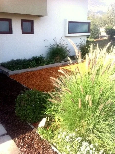 Gramíneas y mulch naranjo junto a la fachada de una casa