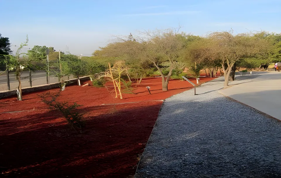 Mulch rojo bajo árboles junto a un camino de gravilla