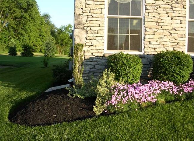 Proyecto de jardín con mulch de color y piedras decorativas — Mulch Color Chile