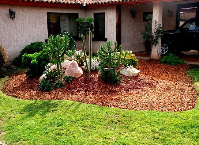 Jardín decorado con mulch de color — proyecto Mulch Color Chile