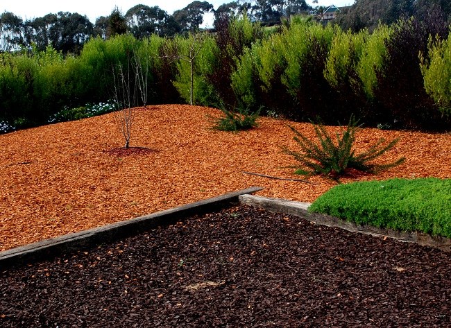 Proyecto de jardín con mulch de color y piedras decorativas — Mulch Color Chile