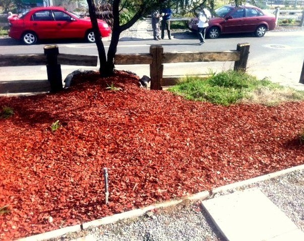 Proyecto de jardín con mulch de color y piedras decorativas — Mulch Color Chile