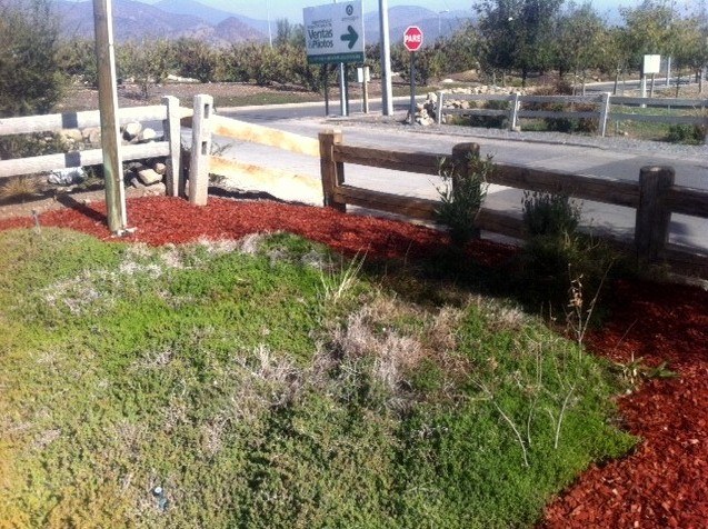 Proyecto de jardín con mulch de color y piedras decorativas — Mulch Color Chile