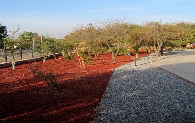 Proyecto de jardín con mulch de color y piedras decorativas — Mulch Color Chile